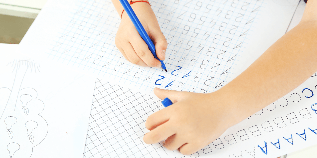 Why Reusable Tracing Books Are Better Than Traditional Workbooks - DIYative™